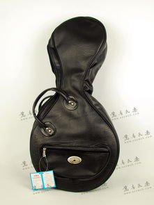 高級中阮琴包與精品中國二胡系列 民樂樂器箱包的專業(yè)選擇