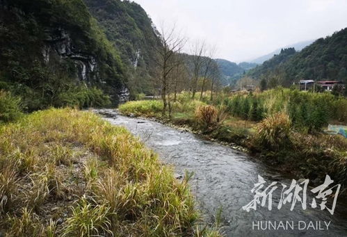 東安舜皇大峽谷生態旅游項目簽約，生態與文旅融合再啟新篇