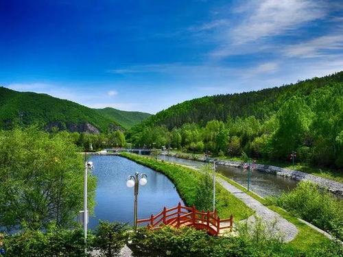 炎熱酷暑，快到森林里清涼一下吧——揭秘森林旅游項目的開發之道